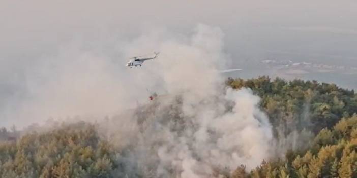 Aydın'daki orman yangınında 2’nci gün