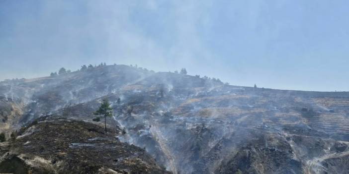 Manisa'daki orman yangını nedeniyle iki mahalle tahliye edildi