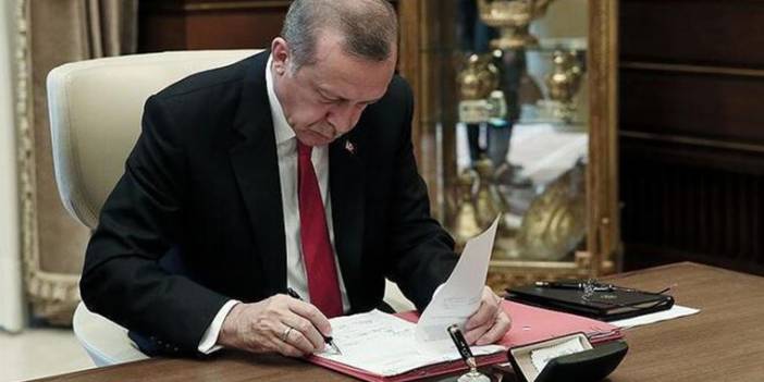 Erdoğan'dan atama kararları: Göksel Aşan başdanışman oldu, Yiğit Bulut ekonomi kurulunda
