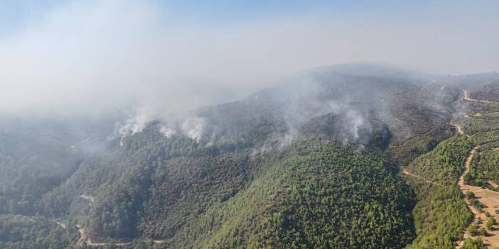 Yangınlarda büyük kayıp: Bu yıl 90 bin futbol sahasına denk orman yandı