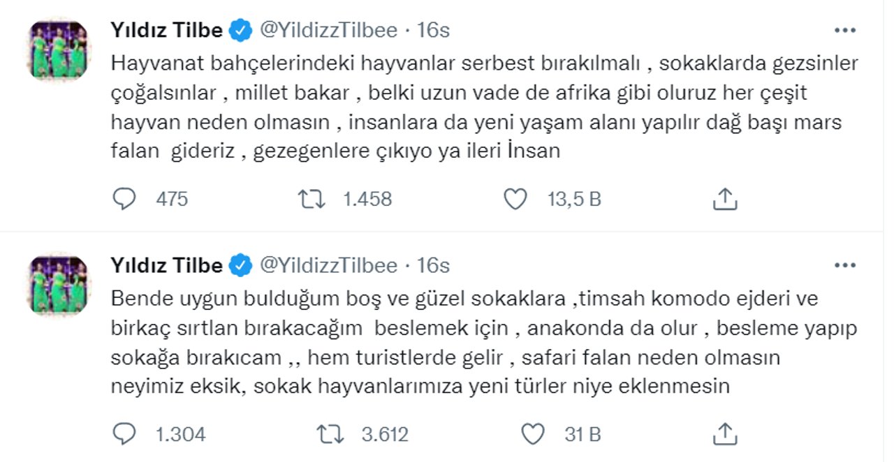 yildiz-tilbe.jpg