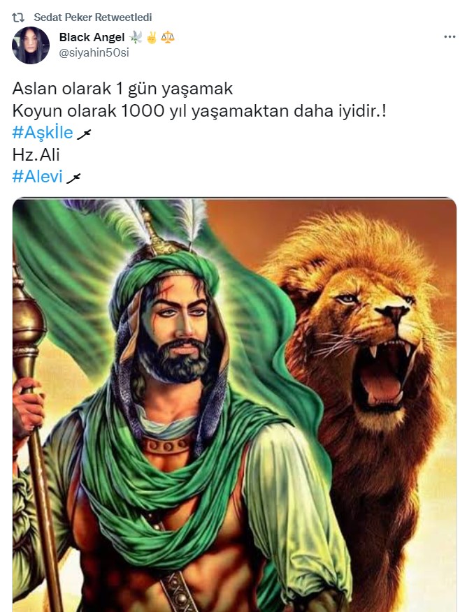 sedat2.jpg