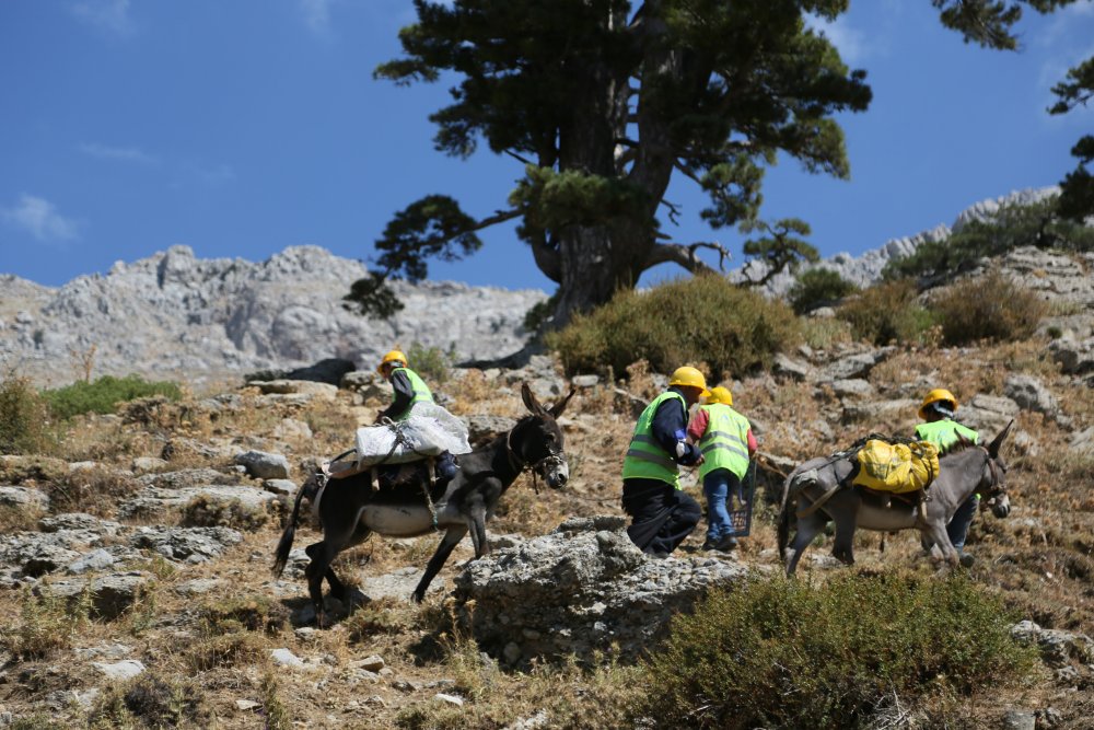 Susuzluk sorununu kiralık eşeklerle çözdüler