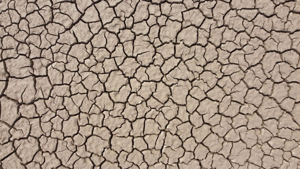 Burası bir baraj gölüydü, geriye sadece kuru toprak kaldı