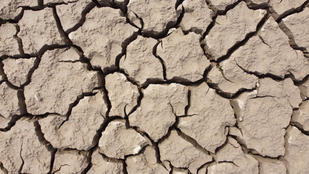 Burası bir baraj gölüydü, geriye sadece kuru toprak kaldı