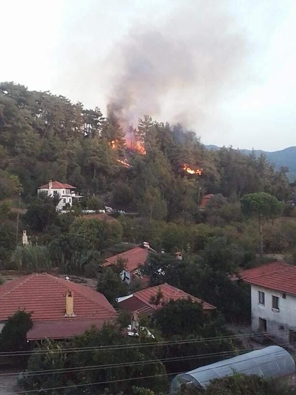 Muğla'da çıkan orman yangını büyümeden söndürüldü