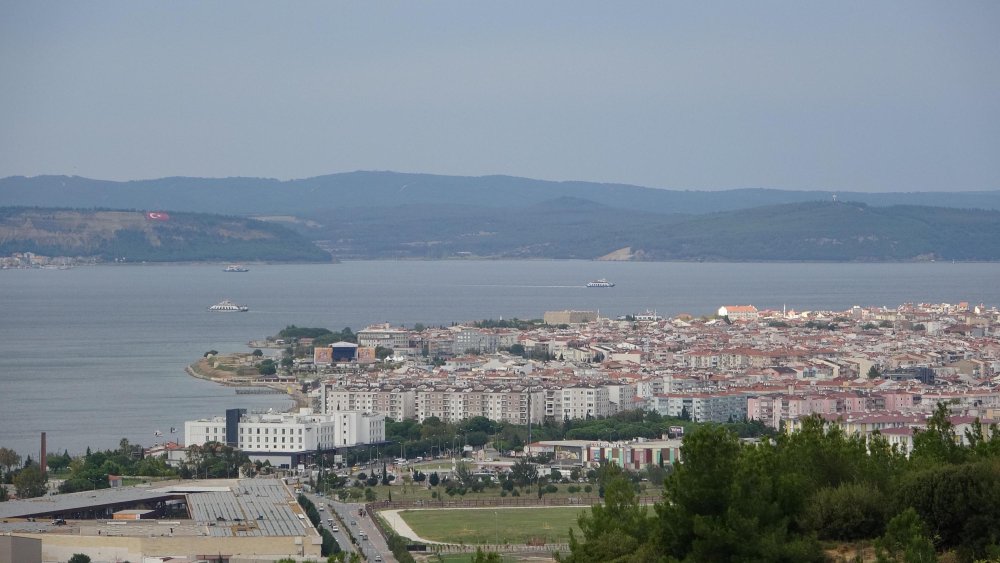 Saros Körfezi kıyılarında görülen caretta caretta sayısı arttı