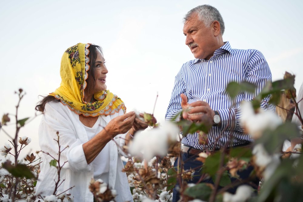 Türkan Şoray, adının verildiği pamuğun hasadına katıldı