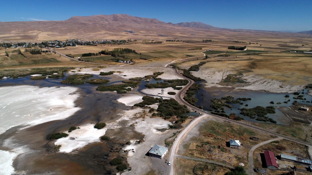 Prof. Dr. Alaeddinoğlu: Van Gölü havzasındaki kuraklık ile ekosistemleri de kaybediyoruz