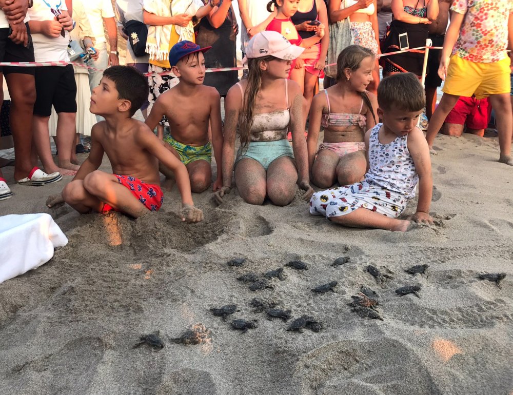 Patara'da 17 bin yavru caretta caretta denizle buluştu