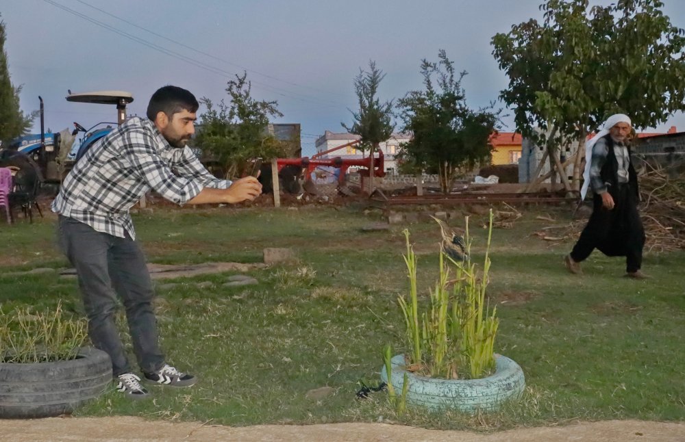 Türkiye'de yaşadığı bile bilinmiyordu! İlk kez görüldü ve kayda alındı