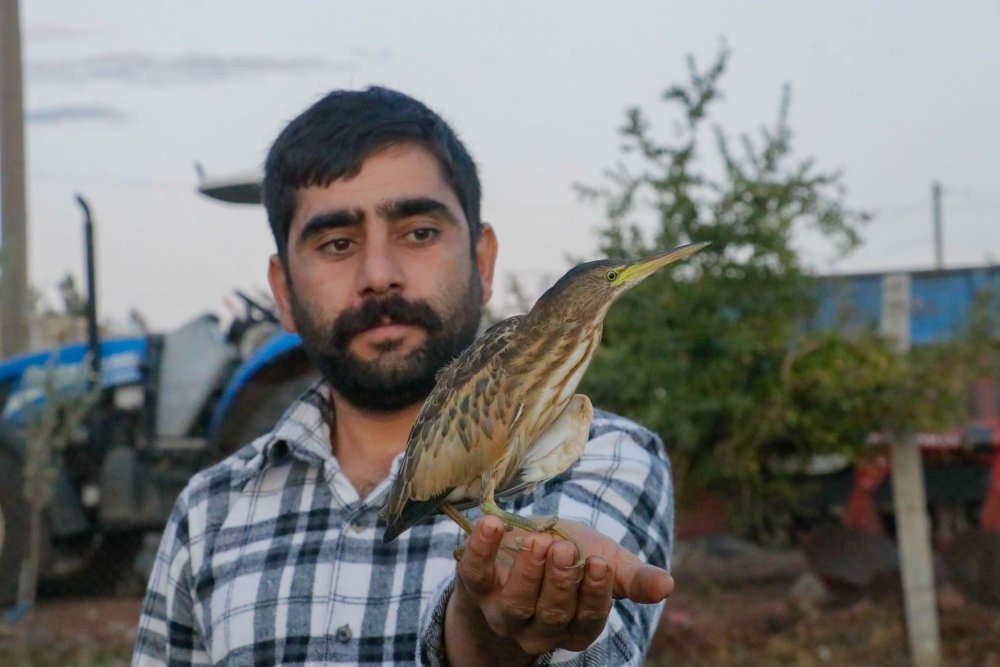 Türkiye'de yaşadığı bile bilinmiyordu! İlk kez görüldü ve kayda alındı