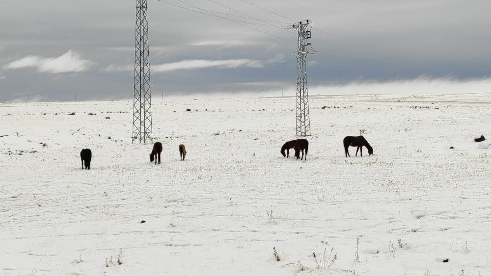Yılın ilk karı düştü, öğrenciler karın tadını çıkardı