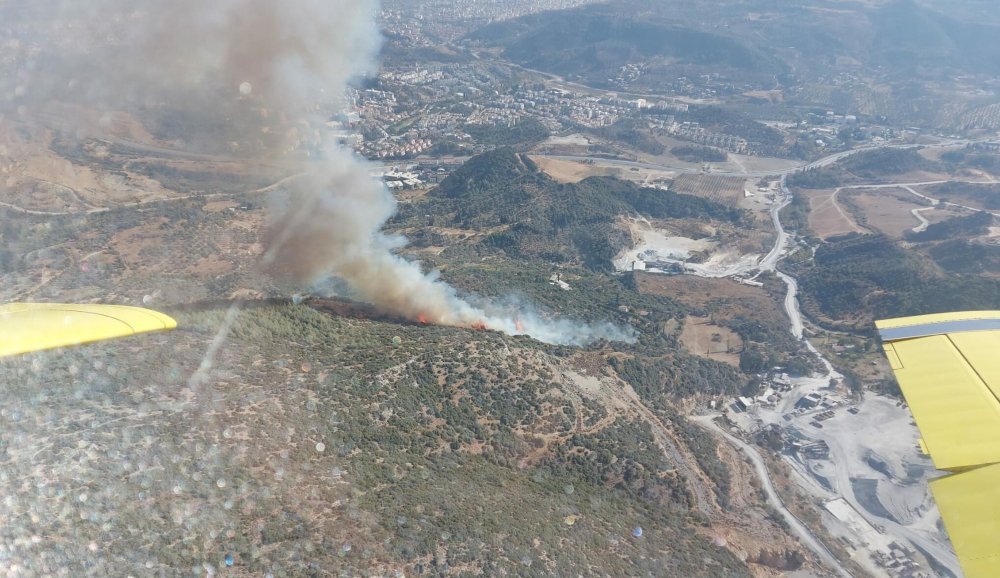 Söke'de yangın: Havadan ve karadan müdahale ediliyor