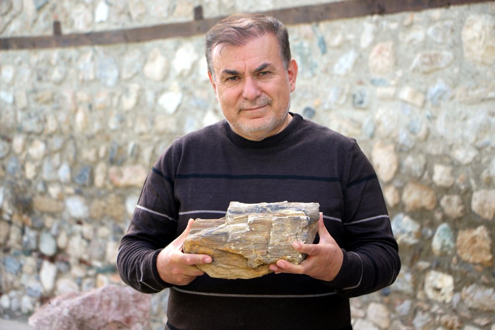 Tokat'ta 41.5 milyon yıl önce tropikal iklim olduğu ortaya çıktı! Fosiller literatüre ilk kayıt olarak girdi