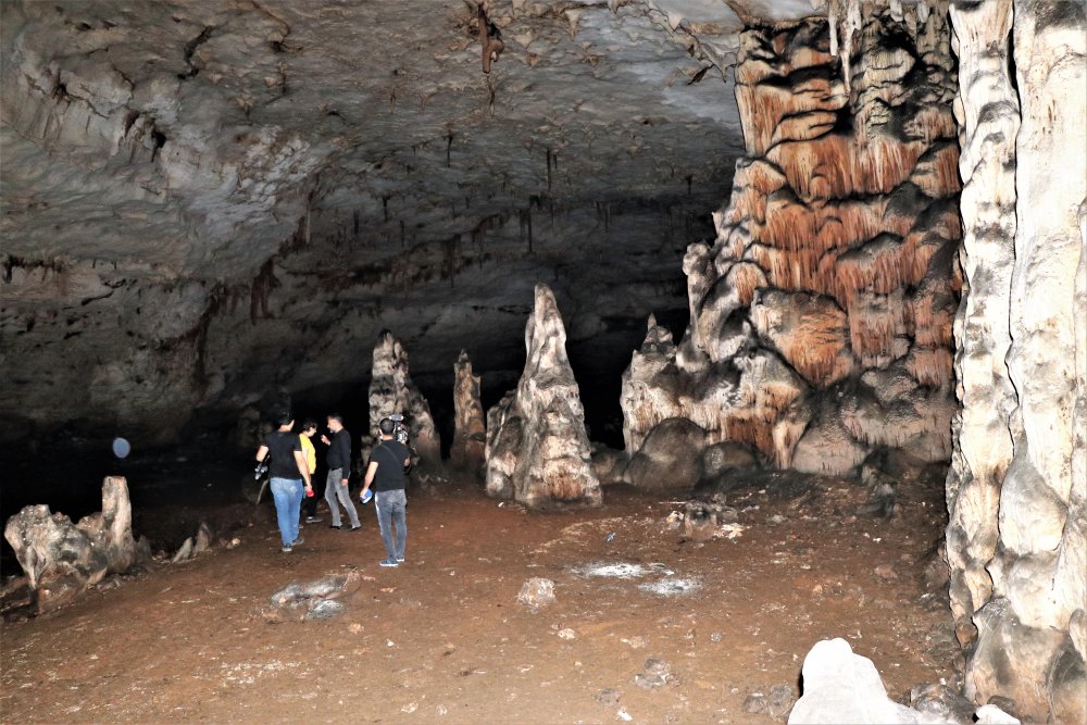 Diyarbakır'da yol çalışmasında bulunan gizemli mağarada yeni bir böcek türü keşfedildi
