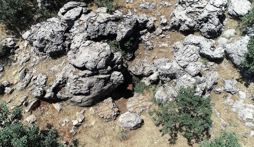 Diyarbakır'da yol çalışmasında bulunan gizemli mağarada yeni bir böcek türü keşfedildi