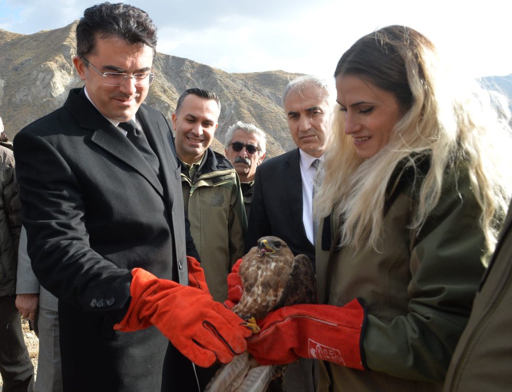 İyileştirilerek doğaya salınan dağ keçisi fotoğrafçının üzerine atladı! Son anda kurtuldu