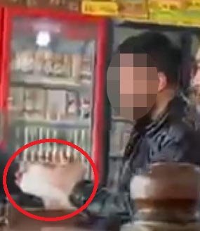 Pitbull saldırısını unutamadan bu kez de sokak köpeği saldırdı