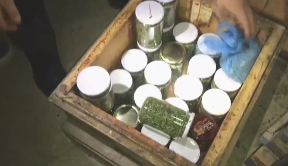 Arı kovanında uyuşturucuya 1 gözaltı