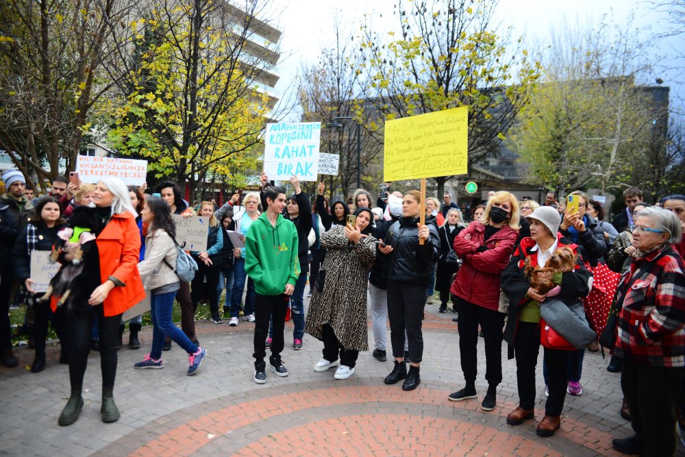 Hayvanlara şiddeti temsili kürek yakarak protesto ettiler