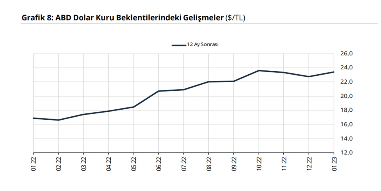 doviz-beklenti.jpg