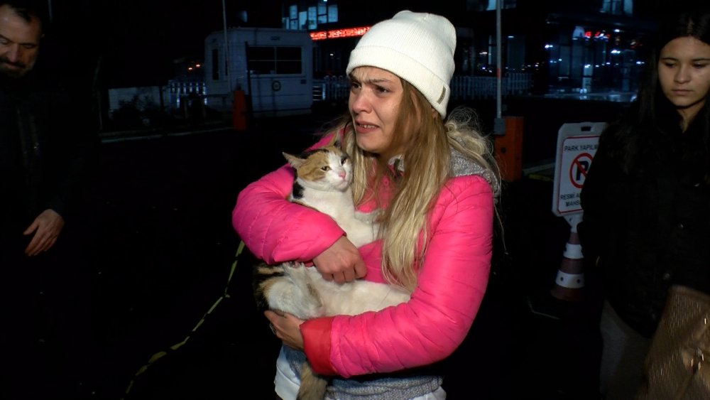 Kedi düşmanının ifadesi ortaya çıktı: İntikam almış!