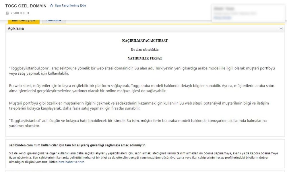 'Dolar ve altın gibi yatırım dahilinde kullanabilirsiniz'... Togg uzantılı internet adreslerini alıp, satışa çıkardılar