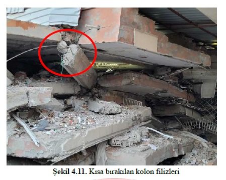 Prof. Dr. Kamanlı: Bile bile mezarımızda oturuyoruz