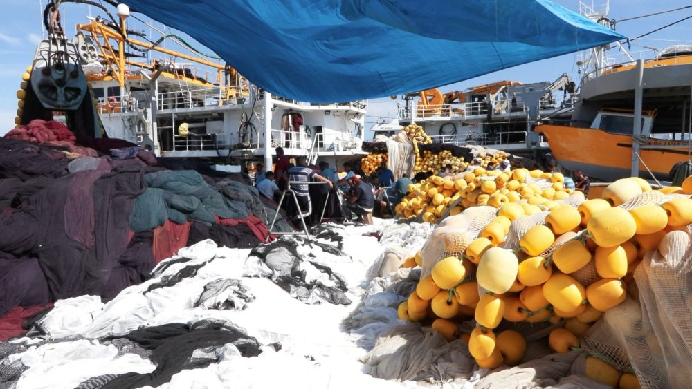 Halde hamsi tartışması: Halde 20, tezgahta 100 lira... Balıkçılar denize açılmadı
