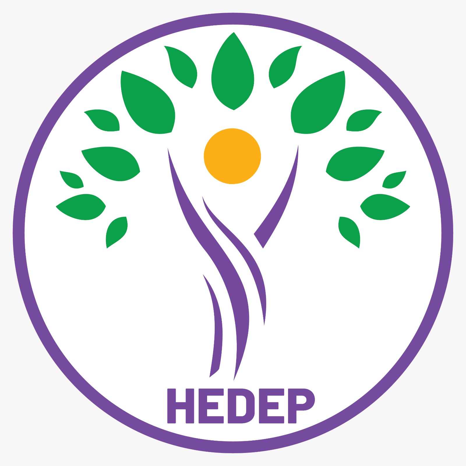 hedep-logo.jpeg