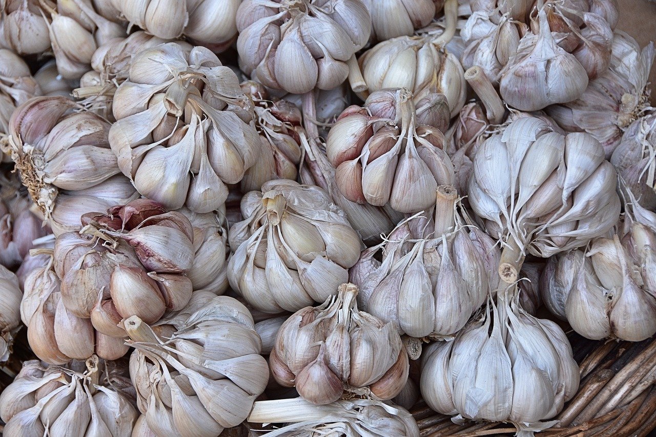 garlic-8364508-1280.jpg