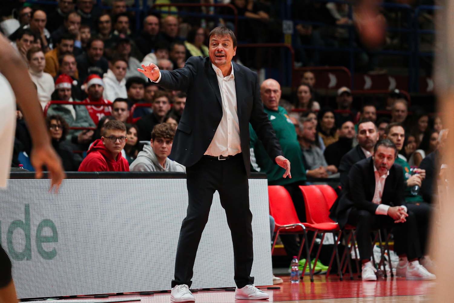 ergin-ataman-4-panathinaikos.jpg