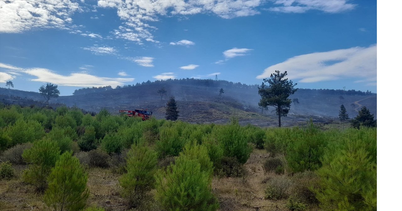aa-20240716-35155773-35155770-manisanin-soma-ilcesindeki-orman-yangini-kismen-kontrol-altinda.jpg