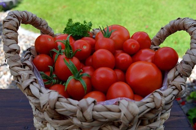 tomatoes-5486197-640.jpg