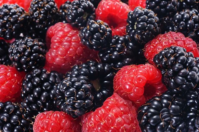 raspberries-and-blackberries-5001160-640.jpg