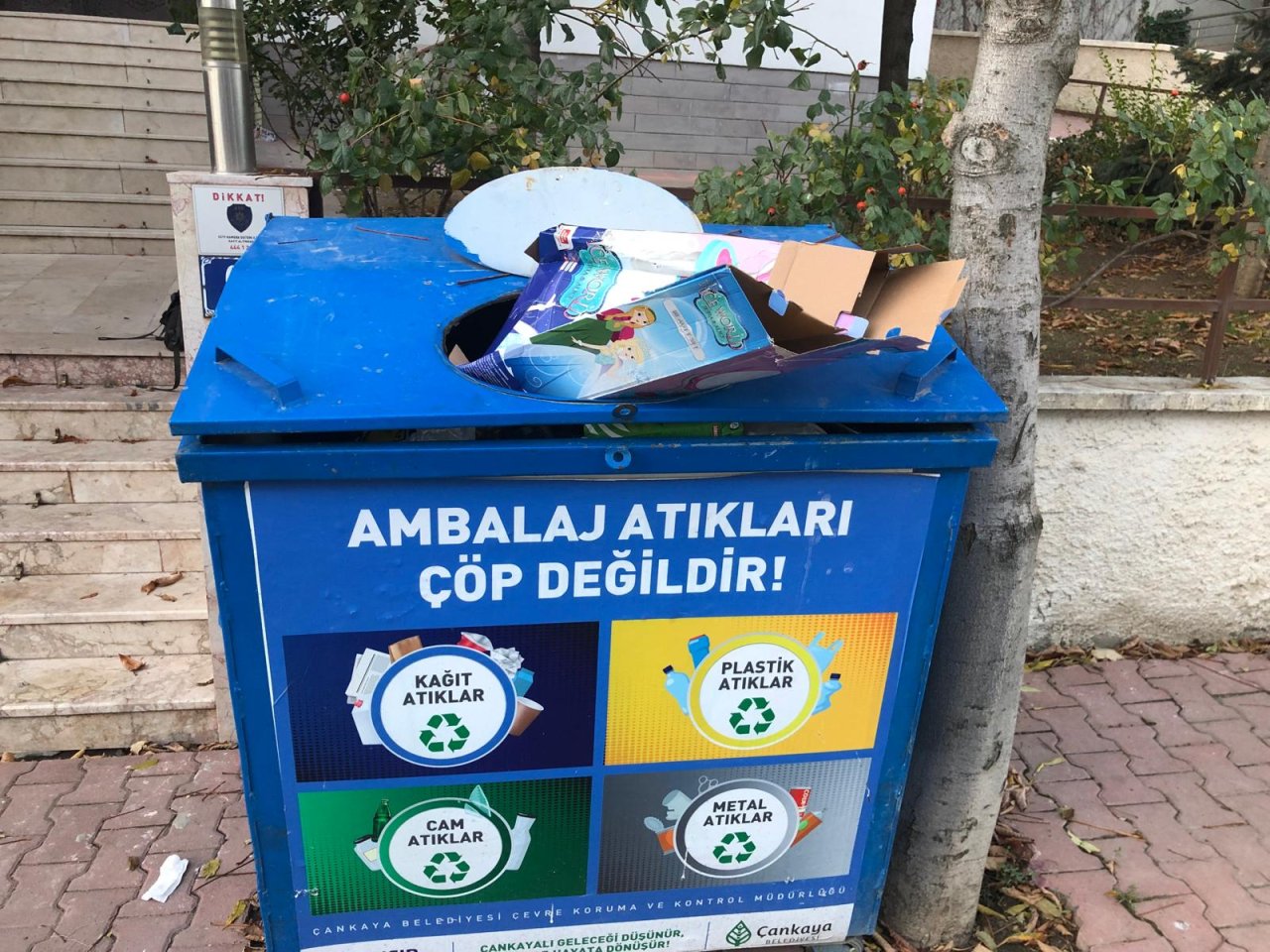 foto-4.jpg