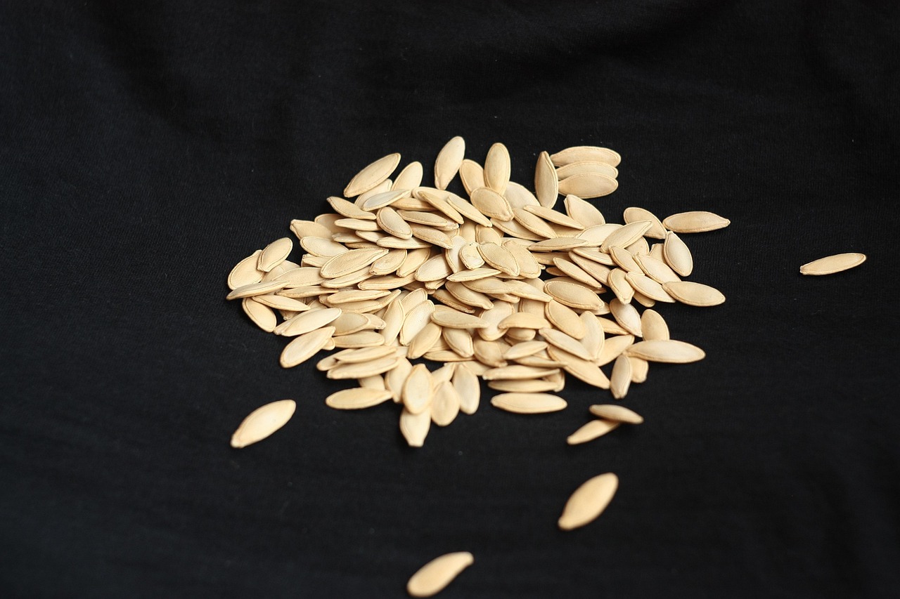sowing-1675147-1280.jpg