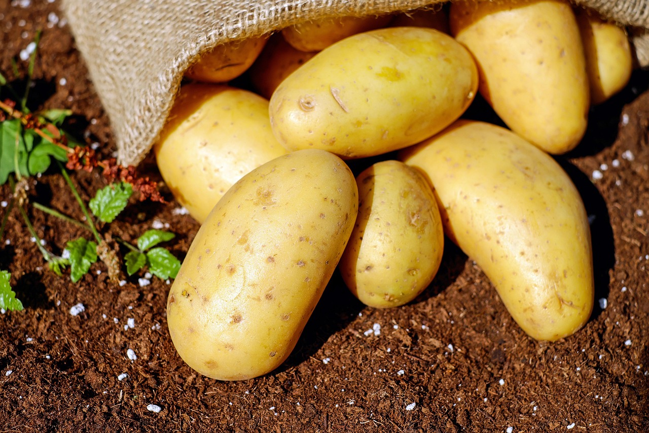 potatoes-1585075-1280.jpg