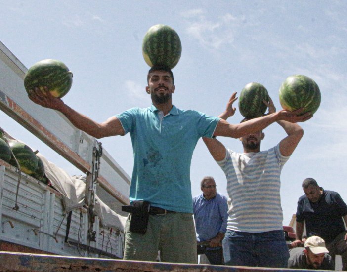 adanada-sezonun-ilk-karpuz-hasadi-basla-719379-212734.jpg
