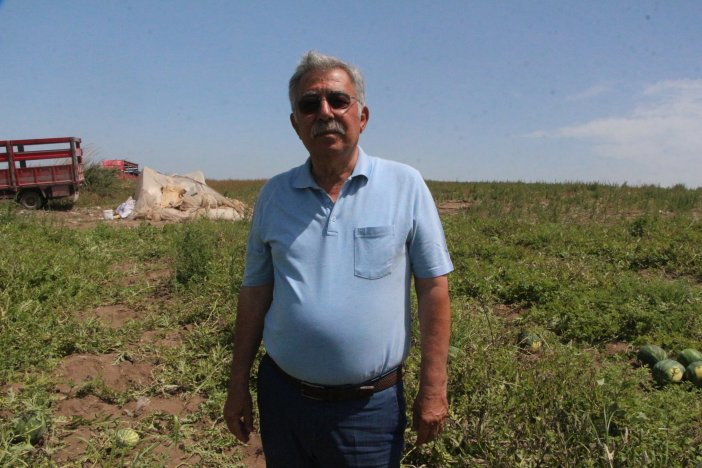 adanada-sezonun-ilk-karpuz-hasadi-basla-719380-212734.jpg