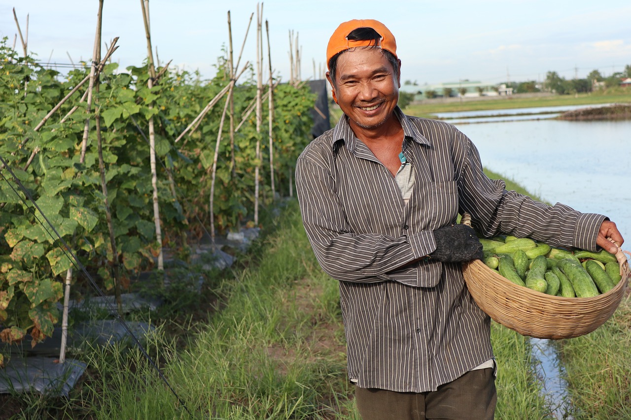 farmer-6839857-1280.jpg