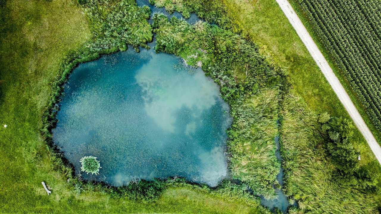 lake-2755907-1280.jpg