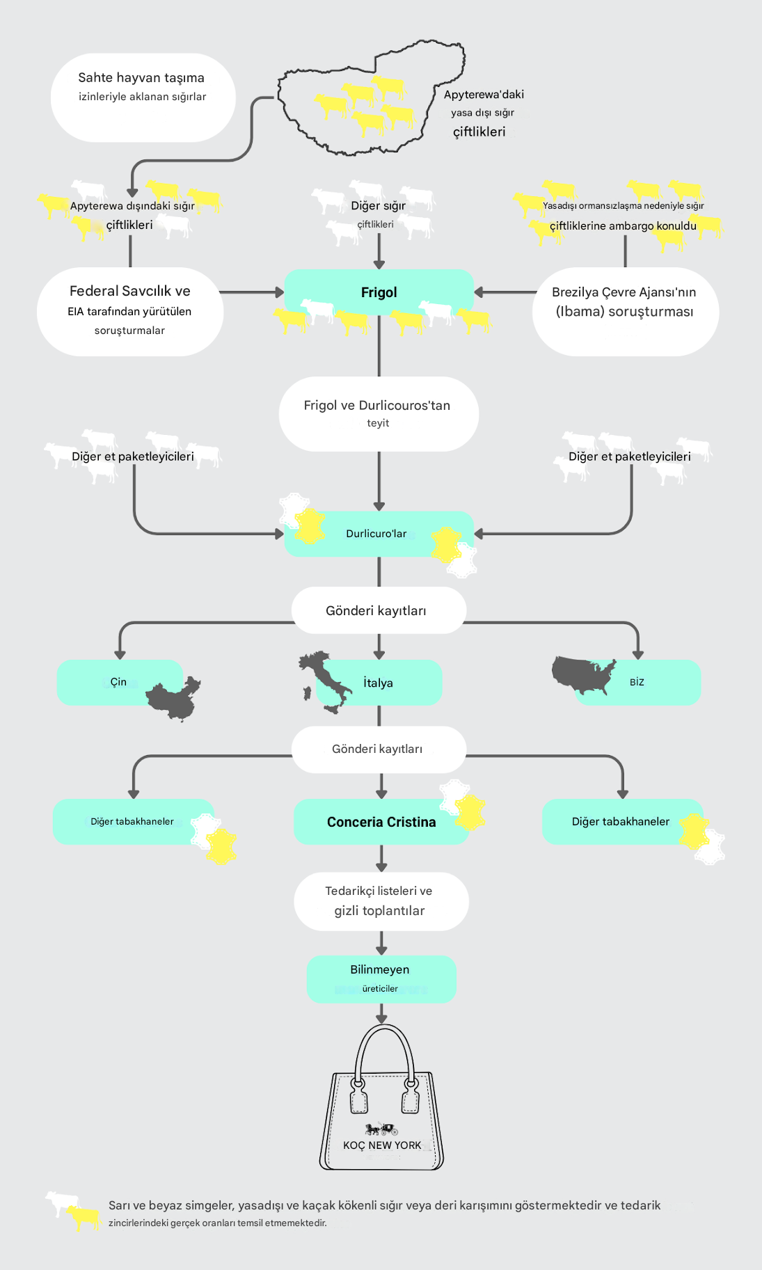 coach-cristina-supply-chain-flowchart-with-explanation-2.png