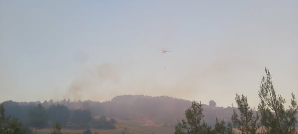 sakarya-1.jpg