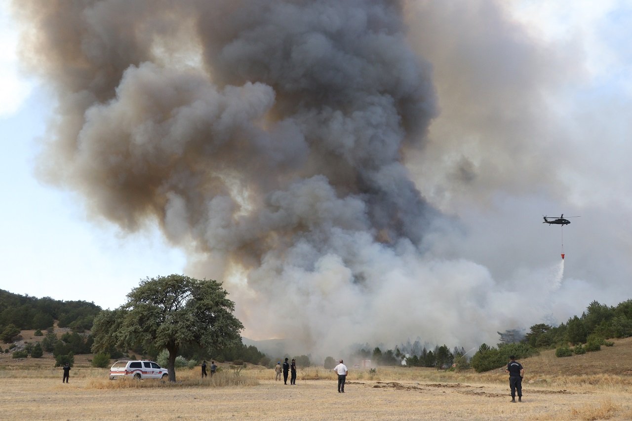 eskisehirdeki-orman-yangini-2nci-gunun-830187-246010.jpg