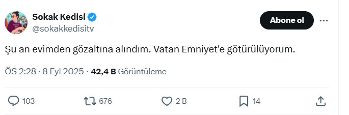 sokak-kedisi.png