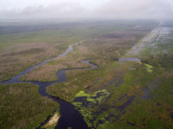 everglades