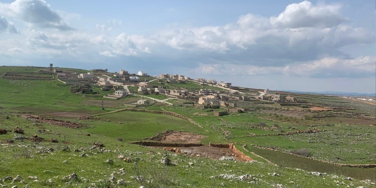 suryani-koy