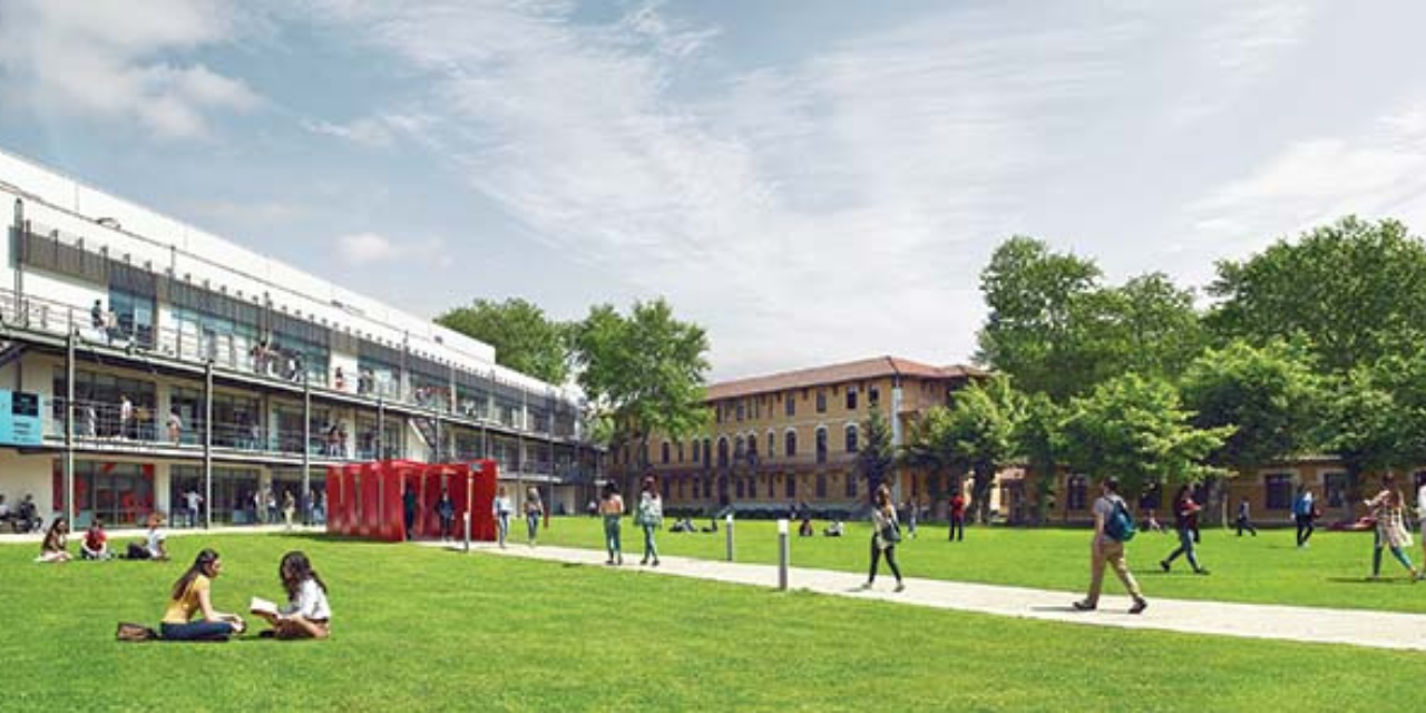 bilgi